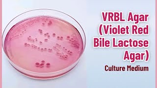 VRBL Agar Uses Principle and Procedure for Detecting Coliforms  Microbial Identification [upl. by Yuri843]