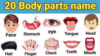 शरीर के अंगो के नाम  parts of body  Hindi and English  body parts name bodyparts [upl. by Gough]