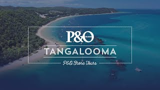 Tangalooma  PampO Shore Tours [upl. by Enaujed]