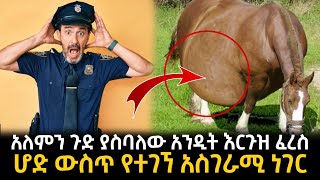 ፖሊሶችን ጉድ ያስባለው አንዲት እርጉዝ ፈረስ ሆድ ውስጥ የተገኘ አስገራሚ ነገር [upl. by Yerot]