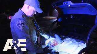 Live PD Top 5 Busts  AampE [upl. by Gnurt]