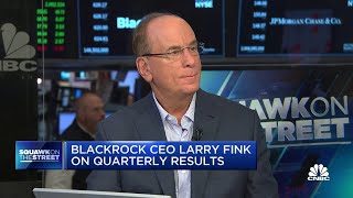 BlackRock CEO Larry Fink Long term investors should be at least 80 in equities or hard assets [upl. by Imoyaba249]