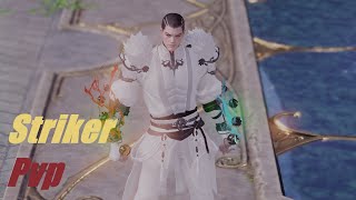 Lost Ark Striker PvP [upl. by Dinah]