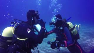 buceo con templo radikal [upl. by Ing968]