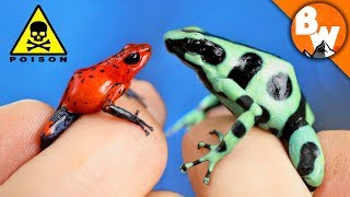 Which Poison Frog Can Kill You [upl. by Dualc]