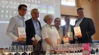 Vini rosé per Elizabeth Gabay dalla Francia al lago di Garda a Italia in Rosa [upl. by Maillil129]