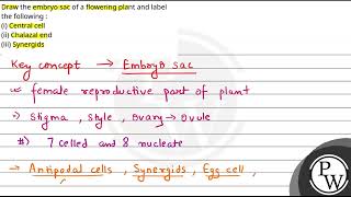 Draw the embryo sac of a flowering plant and label the following i Central cellii Chalazal [upl. by Damon]