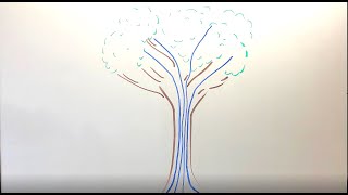 SERC Interns Explain How Trees Are Better Than You [upl. by Inavihs]