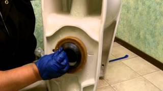 Beginner Tutorial Remove and Install a New Toilet [upl. by Ytram]