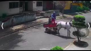 En carretón de caballo así también operan los ladrones en Managua [upl. by Umeko195]