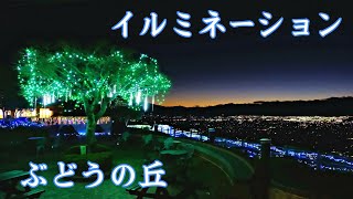 イルミネーション ぶどうの丘 2023 甲州市  Illumination of the Budou no oka [upl. by Akemrehs680]