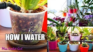 How I water my 400 Orchids  Setup and technique explained [upl. by Talanta]