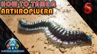 ARK SURVIVAL ASCENDED HOW TO TAME A ARTHROPLUERA [upl. by Aurora]