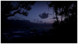 Guarma Coast Night Ambience  RDR2 [upl. by Siroved848]