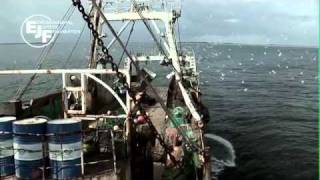 Deadly Catch  the impacts of illegal fishing in West Africa [upl. by Hau]