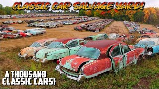 A THOUSAND CLASSIC CARS MASSIVE JUNK YARD Classic Car Salvage Yard Junktown USA Classic Cars [upl. by Lamprey]