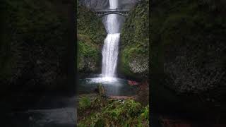 Peaceful Waterfall Sounds relaxation naturesounds [upl. by Celesta]