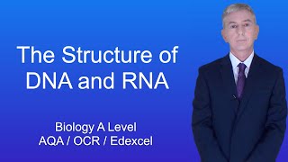 3 Structures of Amino Acids Peptides and Proteins [upl. by Lyreb47]