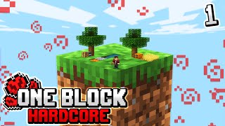 Minecraft Skyblock but you only get ONE BLOCK hardcore 1 [upl. by Margret]