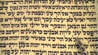 Passover Pesach Torah reading Shabbat Chol Hamoed Rabbi Weisblum קריאת התורה שבת פסח [upl. by Lemuel]