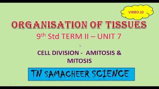 9th TN Samacheer Science  Cell Division  Amitosis amp Mitosis [upl. by Lemmy]