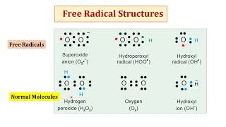 Free radicals and antioxidants [upl. by Rooney]