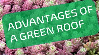 Advantages of a Green Roof [upl. by Helenka]