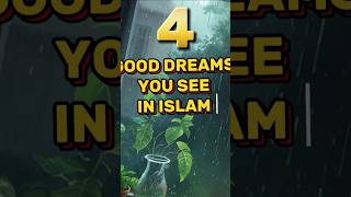 4 Good Dreams you see in Islam ytshorts shortfeedytshortsvideo [upl. by Pren951]