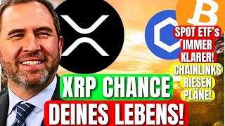 ⚠️Ehemaliger Goldman Sachs CEO XRP die Chance deines Lebens Bitcoin amp Chainlink News [upl. by Aihsram779]