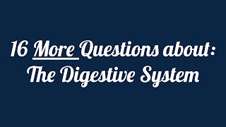 Digestive System Identification Quiz  Part 2 [upl. by Illak]