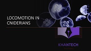 Biology  Phylum Cnidaria  Locomotion in Cnidarians [upl. by Ingemar]