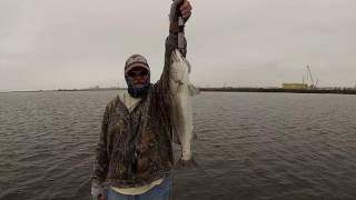 Speckled Trout Tutorial  How To catch Fish Every Cast [upl. by Dyoll]