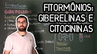 Giberelinas e Citocininas Hormônios Vegetais  Fisio Vegetal  Aula 28 Botânica Prof Guilherme [upl. by Feirahs979]