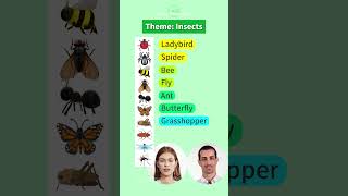 Learn English For Beginners  Study Insects Names with Cliparts  Vocabulary Building For Kids [upl. by Yenahc516]