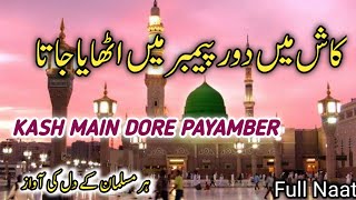 Kash Main Doure Payamber Mein Uthaya Jata  Farhan Ali Waris  Full Naat  Islamic Duain [upl. by Judye]