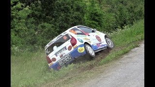 12° Rally di Alba 2018  LITTLE CRASH MISTAKES amp MAX ATTACK HD [upl. by Stucker]