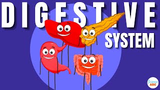 Digestive System Ingestion to Egestion Explained in Simple Words [upl. by Lowery]