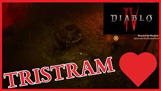 Diablo 3 How to Unlock Protector of Tristram Achievement in Darkening of Tristram Event Season 27 [upl. by Utica561]