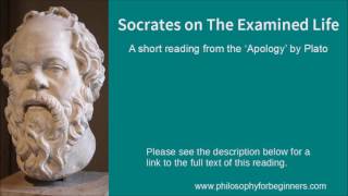 Socrates on The Examined Life  a short reading from the Apology by Plato [upl. by Nylknarf598]