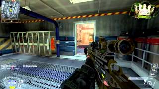 CoD BO2  Let´s Snip a bit 2  Die quotGamingKrankheit und wie man sie bezwingt  308 FFA [upl. by Tecil]