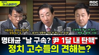 명태균 quot내가 구속되면 한 달 내 尹 탄핵quot핵폭탄급 발언에 대한 전직 의원들의 평가는  김성태amp김종대amp김용남 권순표의 뉴스하이킥 MBC 241008 방송 [upl. by Seibold]