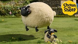 Can Sheep Fly 🐑 Shaun the Sheep  Cartoons for Kids 🐑 Full Episodes Compilation 1 hour [upl. by Anaib936]