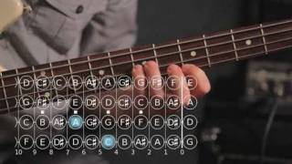 How to Play Double Stops amp Triple Stops  Bass Guitar [upl. by Ardnuhsor246]