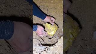 সোনা পেলে এগুলি মনে রাখবেন 💰।। Gold found in the farm [upl. by Okoy]