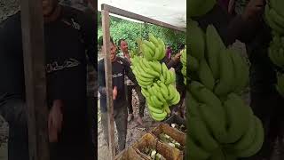 super banana cutting shorts youtube 👍👍🥰🥰 [upl. by Hartmunn62]