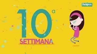 10° settimana di gravidanza [upl. by Machute]