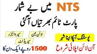 NTS Jobs 2024  National Testing Service Jobs 2024  Download Application Form [upl. by Aetnuahs]