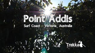 Point Addis  Surf Coast Trail Victoria Australia [upl. by Yednarb]