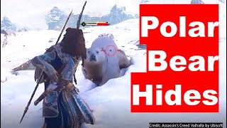 FASTEST AC Vallhalla Polar Bear Hide Farming Location Assassins Creed Hunter Deliveries Artic Fox [upl. by Hsac]