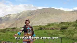 དྲན་གླུ། Drenlu Traditional Shigatse Song by Amalia བོད་གཞས། [upl. by Sakiv]